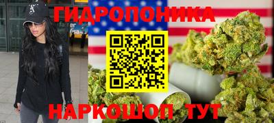 ешки Гай